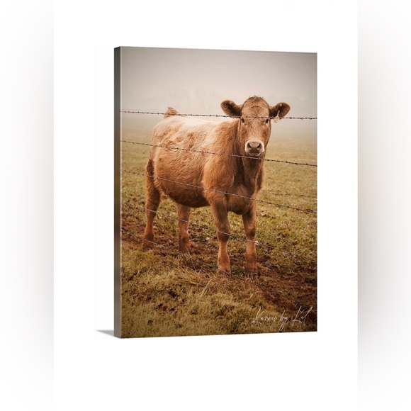 Photo of brown cow on canvas photo taken by @Kanvas by Kat